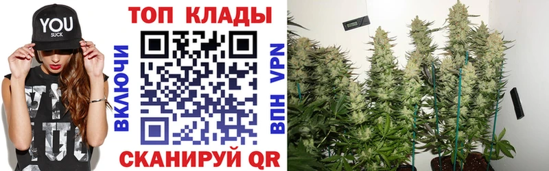 Где купить Дюртюли Бошки Шишки Меф Галлюциногенные грибы Гашиш Cocaine A PVP